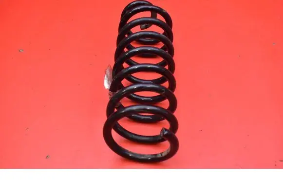 Dacia Sandero Rear coil spring 