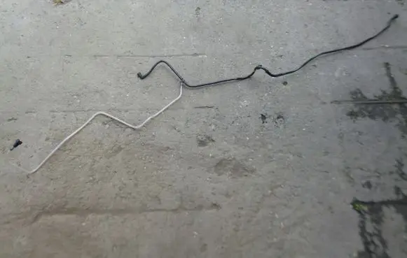 Renault Trafic III (X82) Fuel line/pipe/hose 175100841R