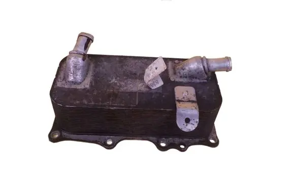 Porsche Cayenne (9PA) Oil pump M48