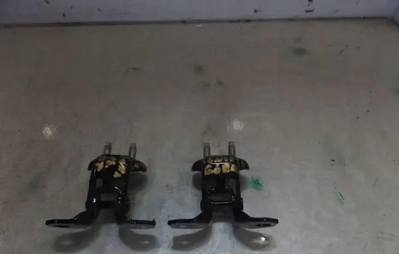 Suzuki Ignis Rear door lower hinge