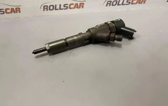 Citroen C5 Fuel injector 9640088780J 0445110062