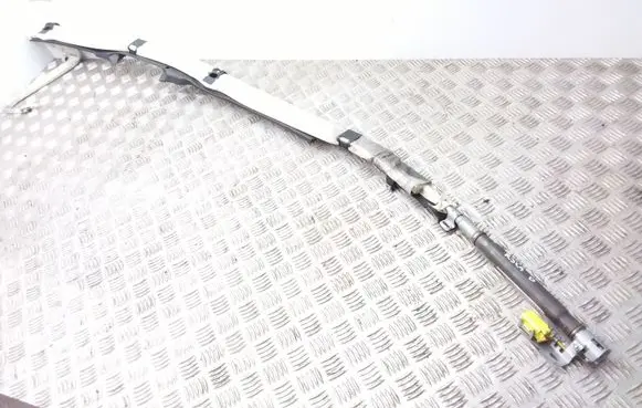 Volkswagen Jetta V Roof airbag 1K5880742E