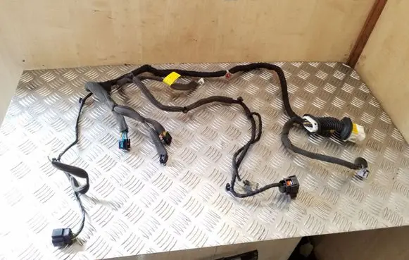 Front door wiring loom
