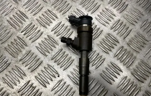 Peugeot 206 Fuel injector 0445110135 55110133