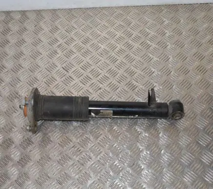 BMW X6 E71 Rear shock absorber/damper 6788511