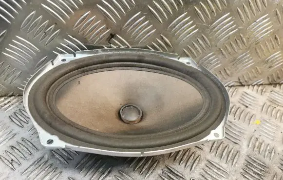 Rear door speaker