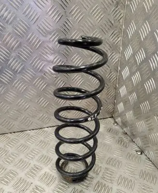 Rear coil spring