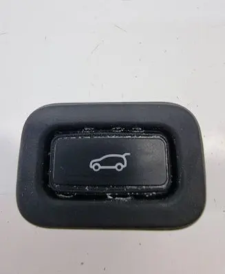Land Rover Discovery Sport Tailgate/trunk/boot open switch CPLA10E998BA