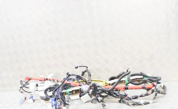 Tesla Model 3 Other wiring loom 406795402D