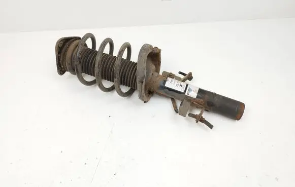 Ford C-MAX II Front shock absorber with coil spring 315499 824903011952 32U48A