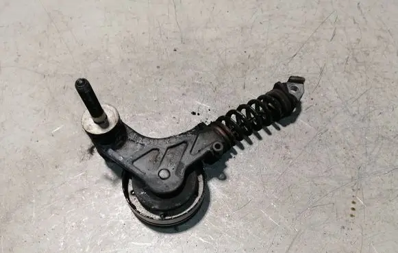 Buick Encore I Generator/alternator belt tensioner 25195388