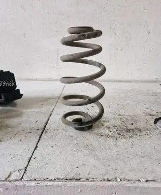 Rear coil spring