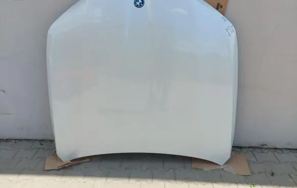 Engine bonnet/hood