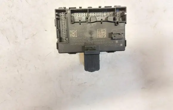 Volkswagen ID.5 Door control unit/module 1EA959593HJLK123