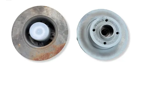 Renault Clio III Rear brake disc 432025260R