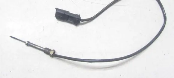 Citroen C3 Aircross Exhaust gas temperature sensor 9812376480
