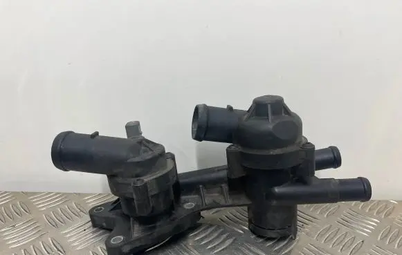 Thermostat/thermostat housing