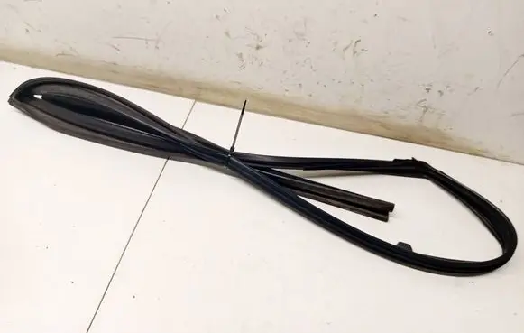 Nissan X-Trail T30 Rubber seal front coupe door 