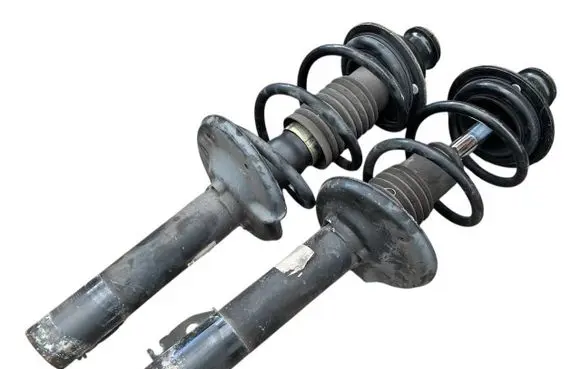 Porsche Cayman 987 Rear shock absorber with coil spring 98733305110