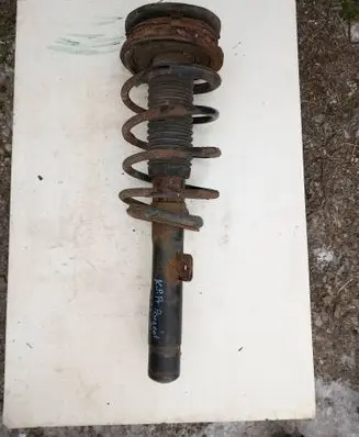 Peugeot 406 Front shock absorber/damper