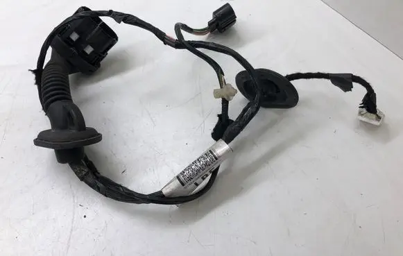 Rear door wiring loom