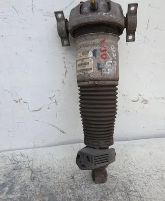 Audi Q7 4L Rear shock absorber/damper 7L6512022E