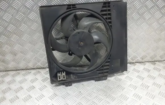 Peugeot 207 Fan set 8240503FR