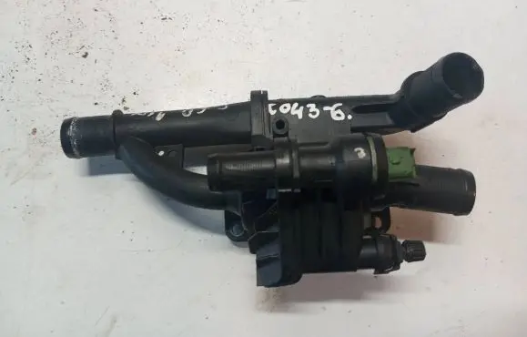 Thermostat/thermostat housing