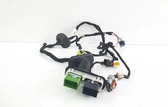 Front door wiring loom