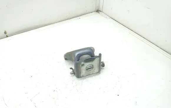 Citroen C4 Grand Picasso Rear door upper hinge
