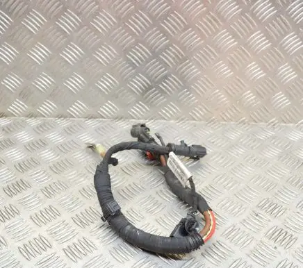 Audi A5 Other wiring loom 8W2971111C