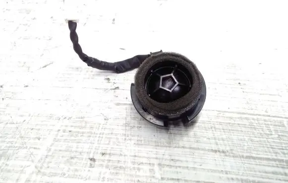 Front door high frequency speaker