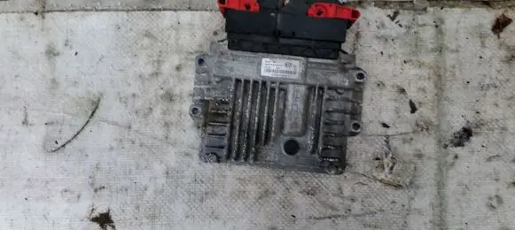 KIA Carens II Engine control unit/module 391044X910