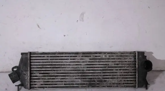 Renault Trafic II (X83) Intercooler radiator 8200411160C 988650B 93854162