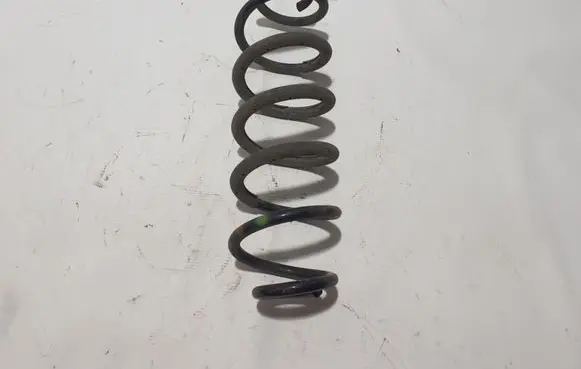 Rear coil spring