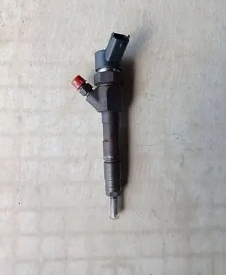 Renault Megane II Fuel injector 0445110110B