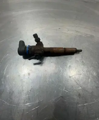 Ford Transit - Tourneo Connect Fuel injector 7T1Q9F593AB 50937