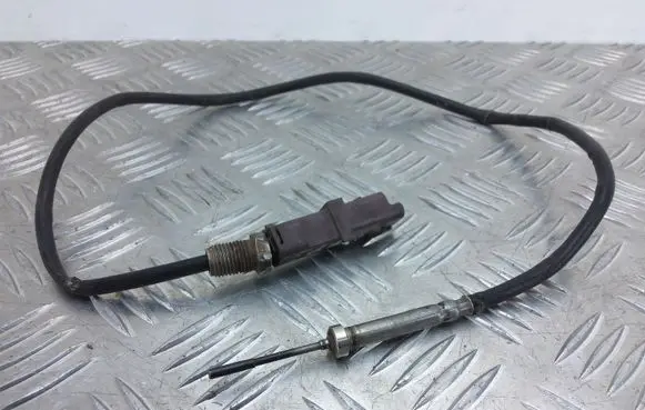 Peugeot 407 Exhaust gas temperature sensor 9639721980