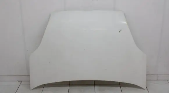 Engine bonnet/hood