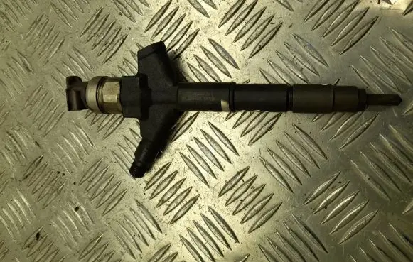Nissan Navara D40 Fuel injector 166005X30A