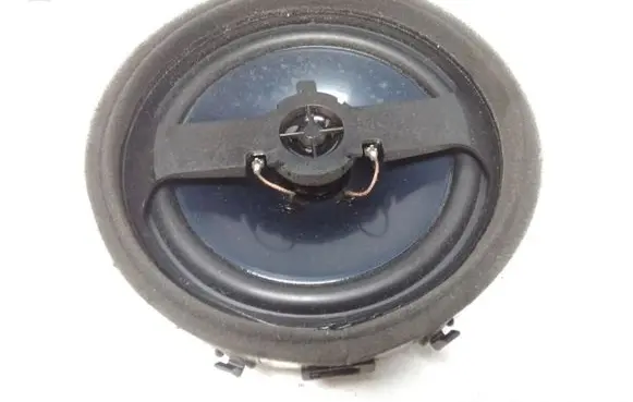 Rear door speaker