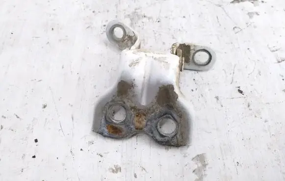 Toyota Hilux (AN10, AN20, AN30) Front door lower hinge 