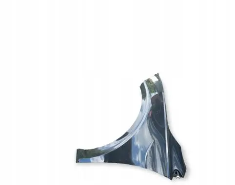 Volkswagen Polo VI Fender