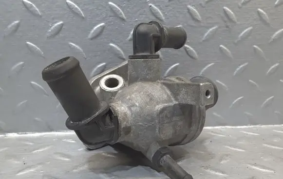 Thermostat/thermostat housing