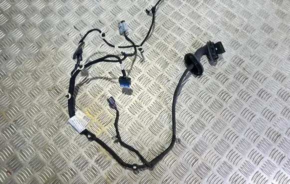 Rear door wiring loom