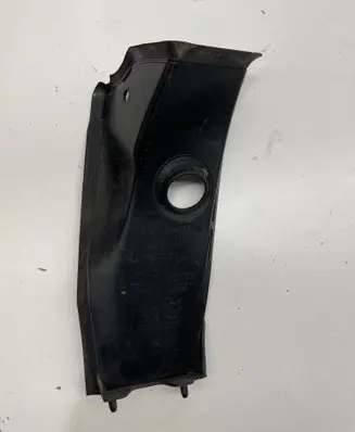 Rear/tail light trim molding