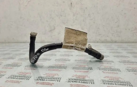 Seat Toledo III (5P) Negative earth cable (battery)