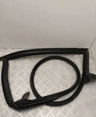 Tesla Model 3 Front door rubber seal