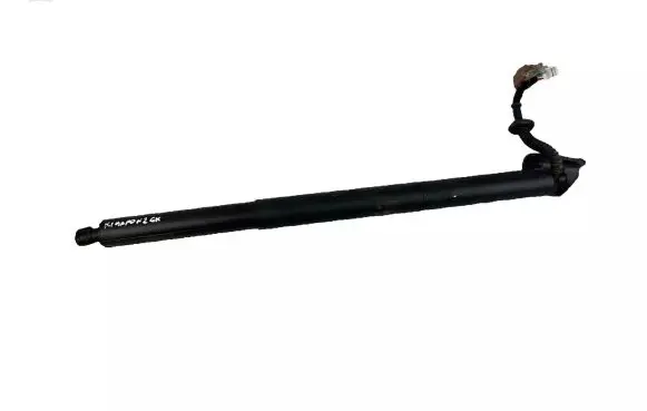 Tailgate strut