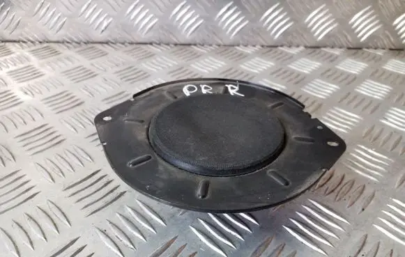 Panel speaker